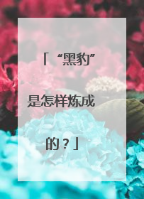 “黑豹”是怎样炼成的？