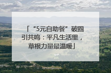 “5元自助餐”破圈引共鸣：平凡生活里，草根力量最温暖