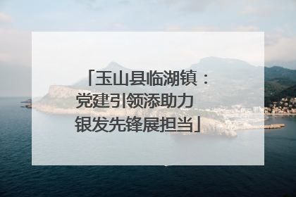 玉山县临湖镇：党建引领添助力 银发先锋展担当