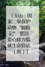 玉山：国家二级保护动物“脱险记” 警民爱心接力筑就生命驿站（图）