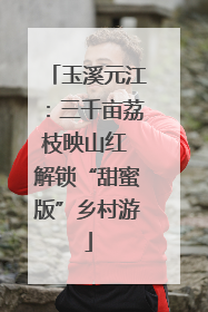 玉溪元江：三千亩荔枝映山红 解锁“甜蜜版”乡村游