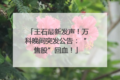 王石最新发声！万科晚间突发公告：“售股”回血！