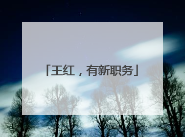王红，有新职务