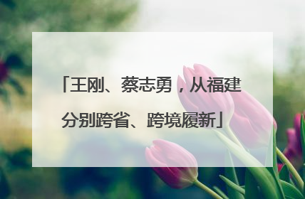 王刚、蔡志勇，从福建分别跨省、跨境履新