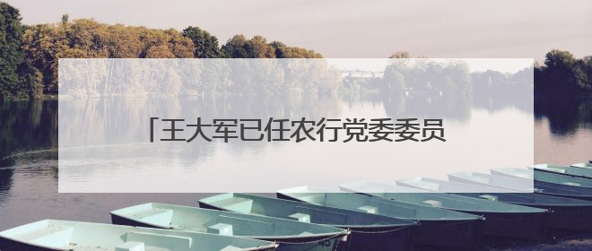 王大军已任农行党委委员，分管对公、科技板块