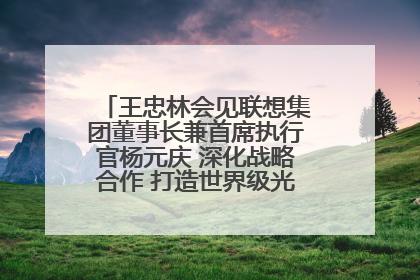 王忠林会见联想集团董事长兼首席执行官杨元庆 深化战略合作 打造世界级光电子信息产业集群