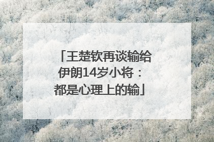 王楚钦再谈输给伊朗14岁小将：都是心理上的输