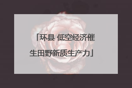 环县 低空经济催生田野新质生产力