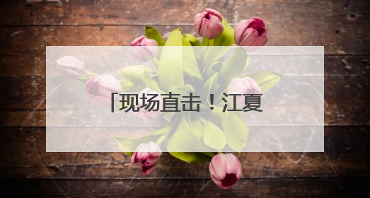 现场直击！江夏高考首日！考场外的一幕幕……