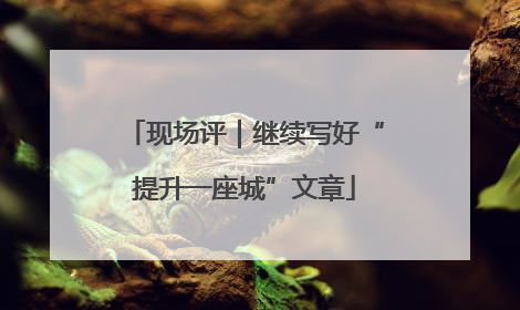 现场评｜继续写好“提升一座城”文章
