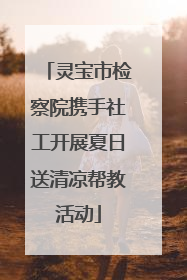灵宝市检察院携手社工开展夏日送清凉帮教活动