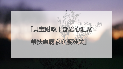 灵宝财政干部爱心汇聚 帮扶患病家庭渡难关