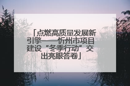 点燃高质量发展新引擎——忻州市项目建设“冬季行动”交出亮眼答卷