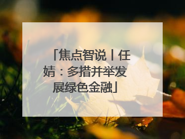 焦点智说丨任婧：多措并举发展绿色金融