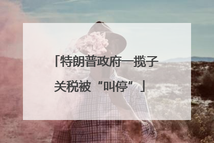 特朗普政府一揽子关税被“叫停”