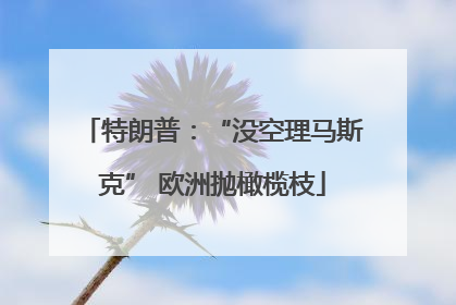 特朗普：“没空理马斯克” 欧洲抛橄榄枝