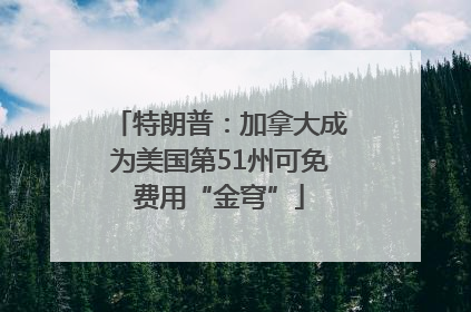 特朗普：加拿大成为美国第51州可免费用“金穹”