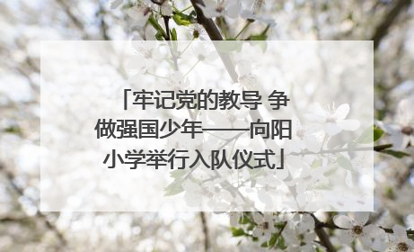 牢记党的教导 争做强国少年——向阳小学举行入队仪式