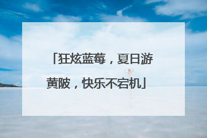 狂炫蓝莓，夏日游黄陂，快乐不宕机