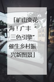 矿山变花海！广丰“三色引擎”催生乡村振兴新图景