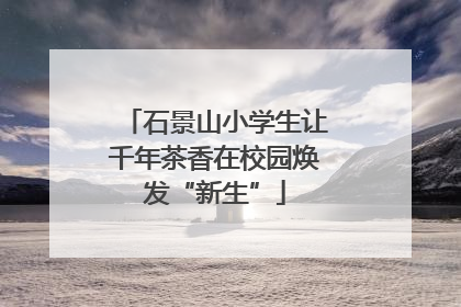石景山小学生让千年茶香在校园焕发“新生”