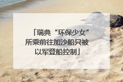 瑞典“环保少女”所乘前往加沙船只被以军登船控制