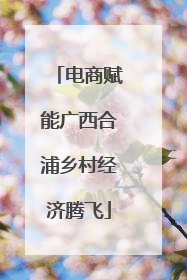 电商赋能广西合浦乡村经济腾飞