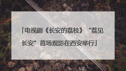 电视剧《长安的荔枝》“荔见长安”首场观影在西安举行