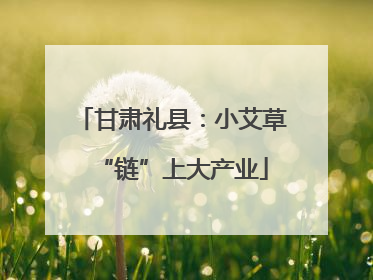 甘肃礼县：小艾草“链”上大产业