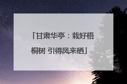 甘肃华亭：栽好梧桐树 引得凤来栖