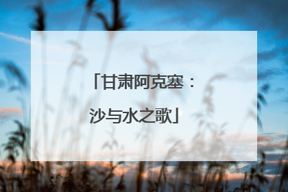 甘肃阿克塞：沙与水之歌
