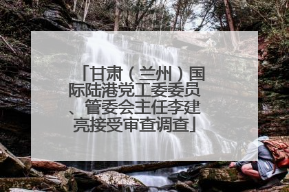 甘肃（兰州）国际陆港党工委委员、管委会主任李建亮接受审查调查