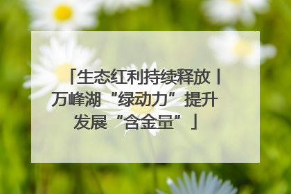生态红利持续释放丨万峰湖“绿动力”提升发展“含金量”