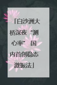 白沙洲大桥深夜“测心率” 国内首创稳态激振法