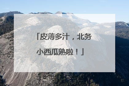 皮薄多汁，北务小西瓜熟啦！