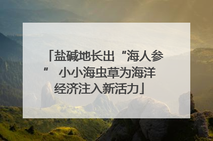 盐碱地长出“海人参” 小小海虫草为海洋经济注入新活力