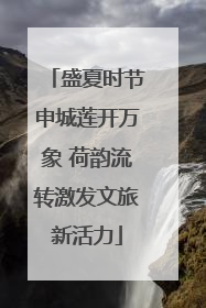盛夏时节申城莲开万象 荷韵流转激发文旅新活力