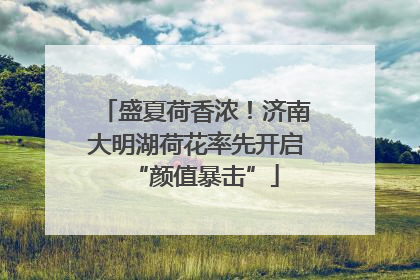盛夏荷香浓！济南大明湖荷花率先开启“颜值暴击”