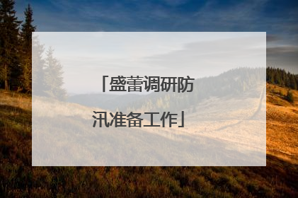 盛蕾调研防汛准备工作