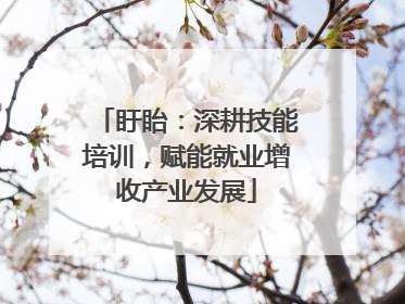 盱眙：深耕技能培训，赋能就业增收产业发展