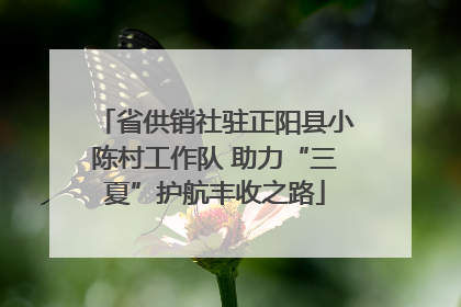 省供销社驻正阳县小陈村工作队 助力“三夏”护航丰收之路