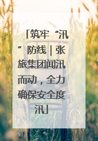 筑牢“汛”防线｜张旅集团闻汛而动，全力确保安全度汛
