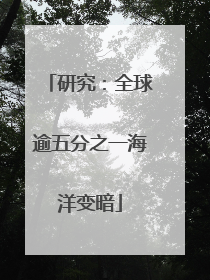 研究：全球逾五分之一海洋变暗