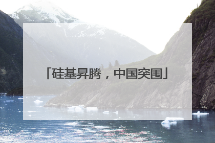 硅基昇腾，中国突围