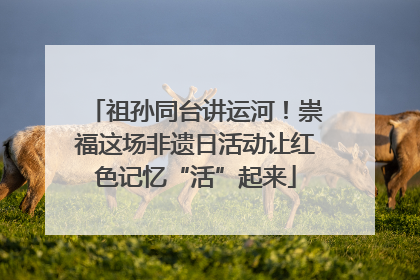 祖孙同台讲运河！崇福这场非遗日活动让红色记忆“活”起来
