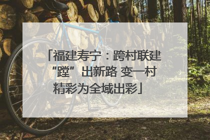 福建寿宁：跨村联建“蹚”出新路 变一村精彩为全域出彩
