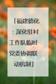 福建德化：深化驻村工作队临时党委协调联动机制