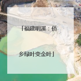 福建明溪：侨乡绿叶变金叶