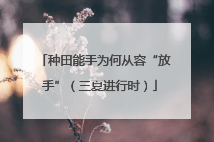 种田能手为何从容“放手”（三夏进行时）