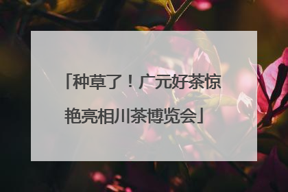 种草了！广元好茶惊艳亮相川茶博览会